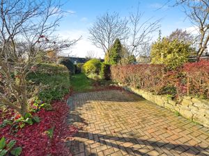 Photo 5- click for photo gallery